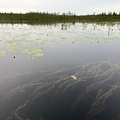 Водный поход по р.Кереть 07 2023